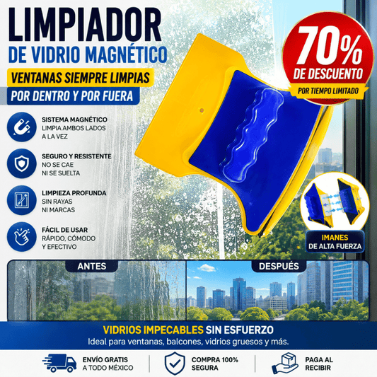 Limpiador vidrio magnetico ventanas